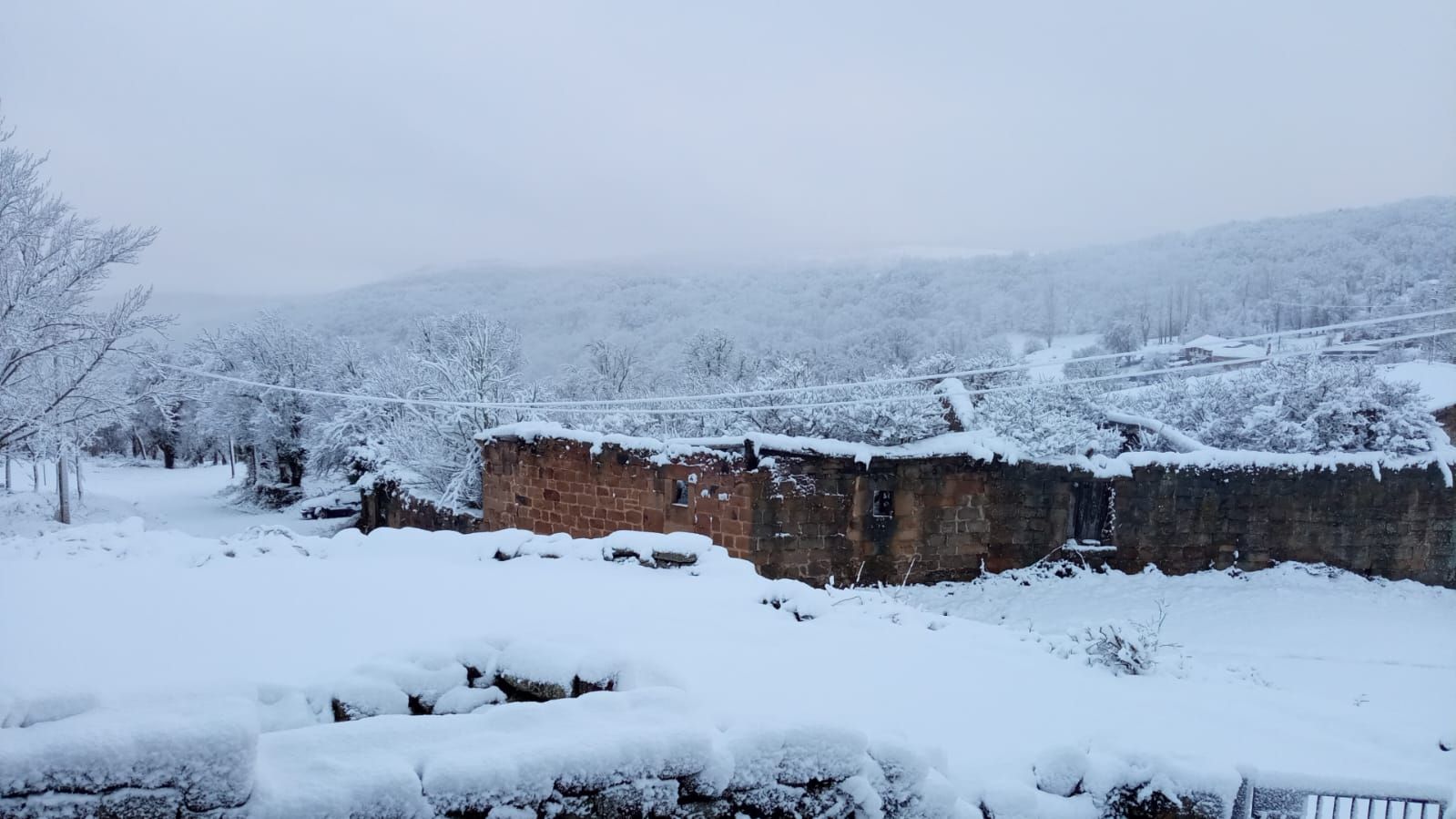 Impresionante nevada en el pueblo de Salcedo (Valderredible), a mil metros de altitud