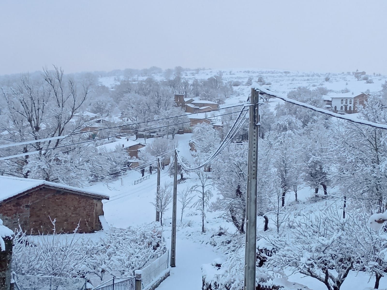 Vecinos de Salcedo dicen que no tienen luz desde medianoche y por la mañana continuaban sin suministro debido a una incidencia general en la red según la compañía eléctrica, que está tratando de solucionar el problema. También tienen problemas con internet