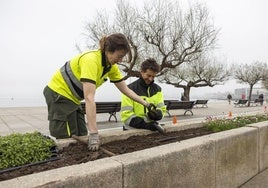 Dos trabajadores de Légamo, empresa encargada del servicio de Parques y Jardines, trabajan en el Paseo de Pereda.