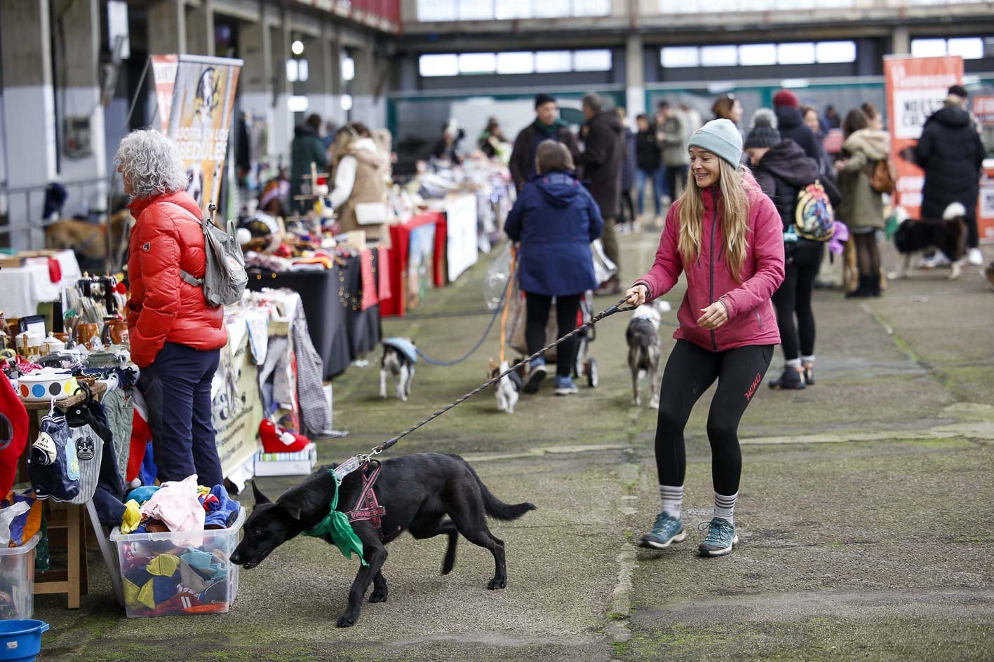 El evento acogió a multitud de futuras mascotas, como Sun.