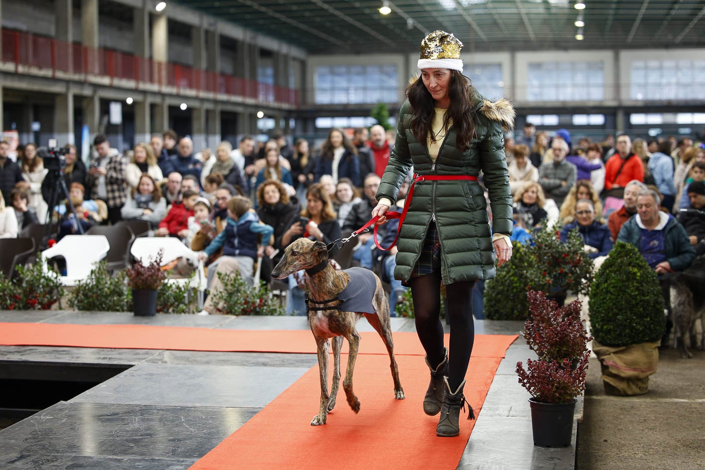 Brandon, uno de los perros participantes, desfila por la pasarela de la Feria de Adopción Responsable, este domingo, en el Ferial de Torrelavega.