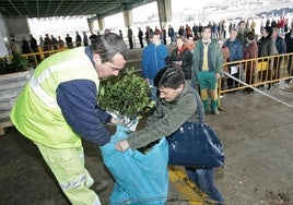 La campaña de reforestación vuelve a repartir miles de árboles en Torrelavega