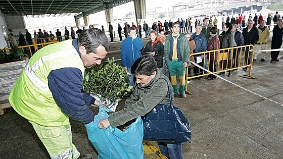 La campaña de reforestación vuelve a repartir miles de árboles en Torrelavega