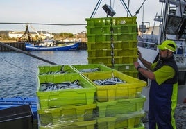 Descarga de bocarte en el puerto de Santoña durante la costera de este año.