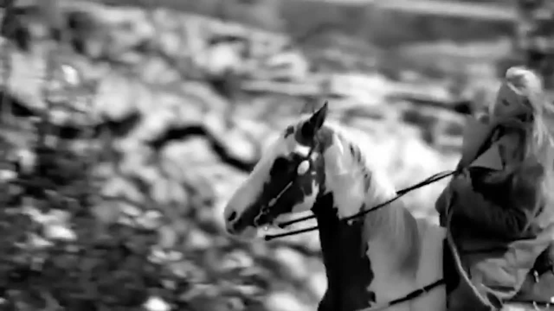 El mítico cantante británico Robbie Williams cumple 50 años