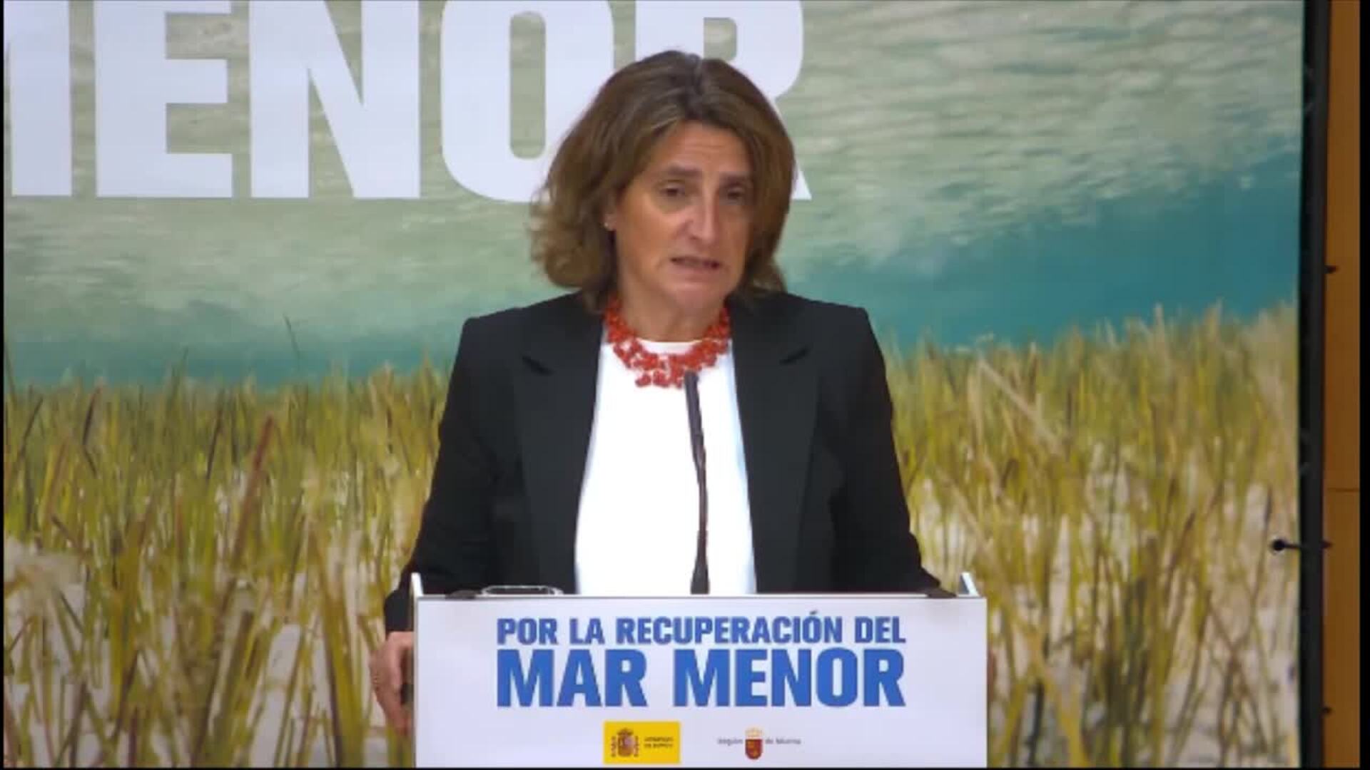 Ribera, sobre si será la candidata del PSOE a las europeas: "Veremos"
