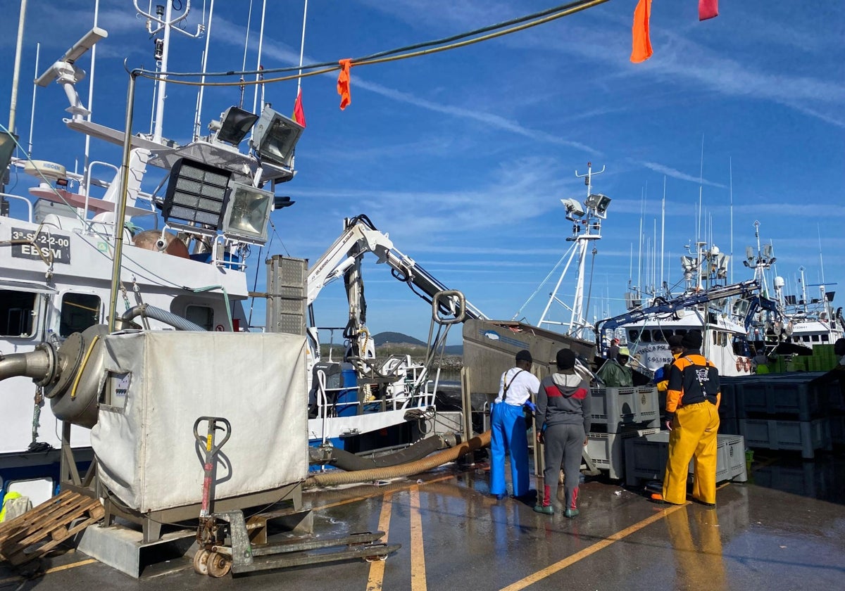 Actividad en el puerto de Colindres.