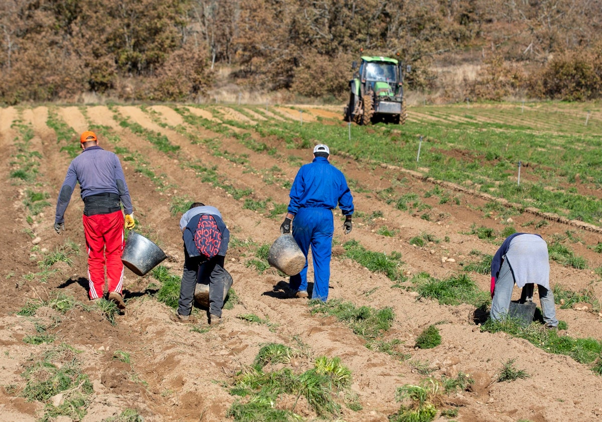 El sector agrario ha sido uno de los más afectados en Cantabria al reducirse en 147 autónomos.