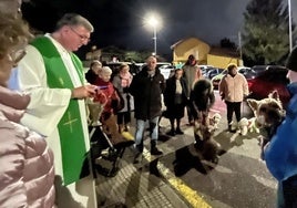 Las mascotas acuden a la bendición con sus dueños.