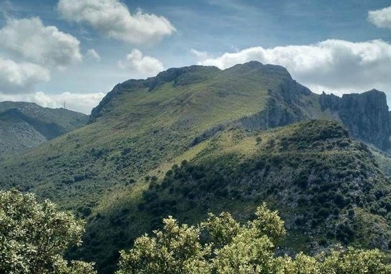 Proyecto de restauración de la Montaña Oriental Cantábrica.