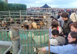 Los niños disfrutaron en familia con los animales de la feria en Merón.