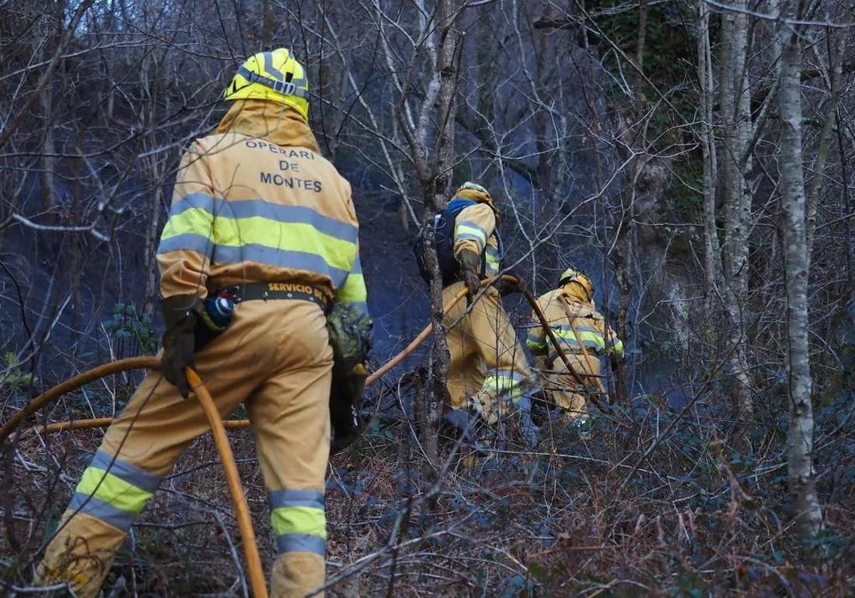 Un grupo de bomberos forestales durante la extinción de un incendio.