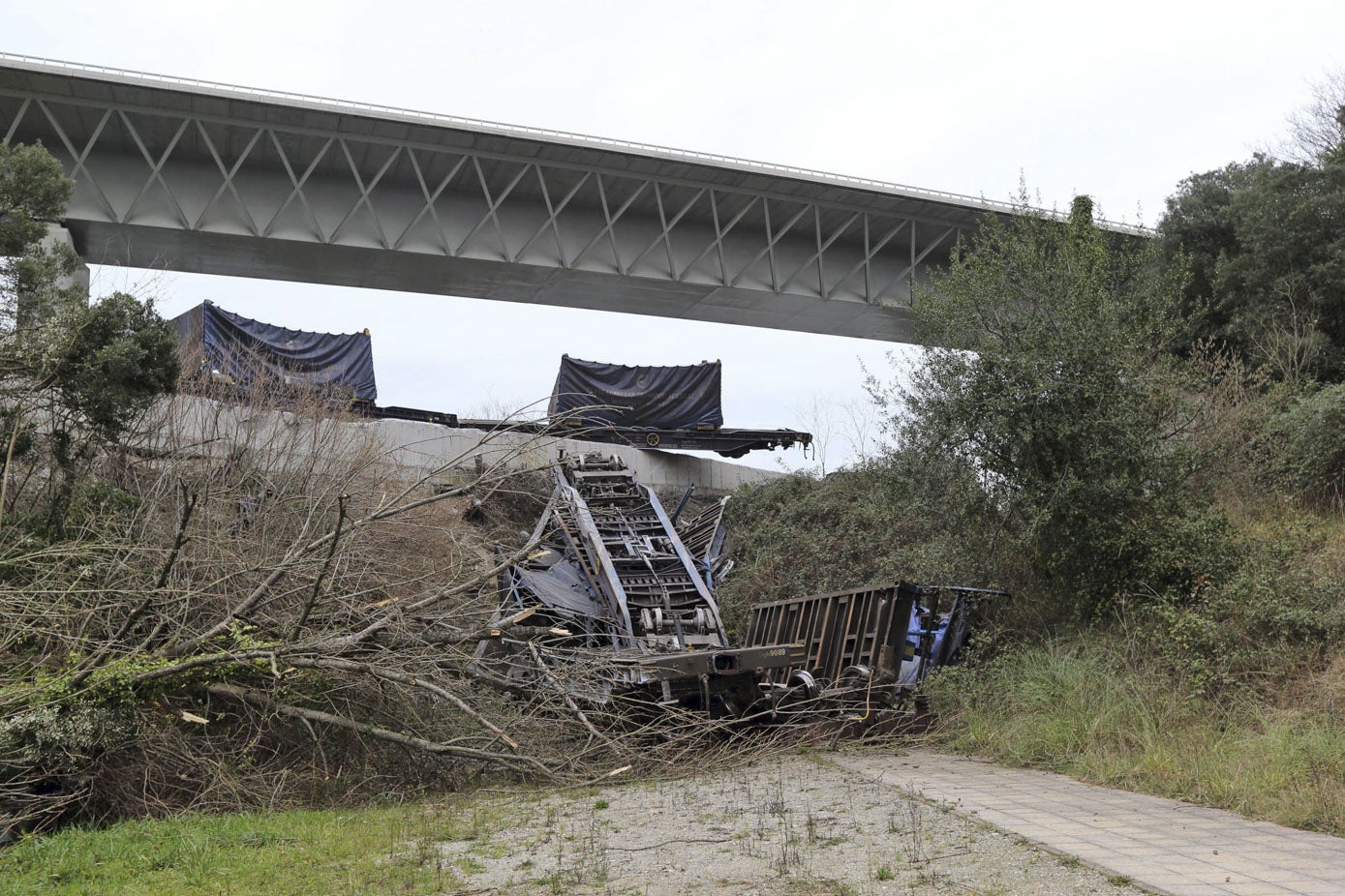 Así quedaron parte de los vagones del tren de mercancías que volcó el 31 de enero de 2013.