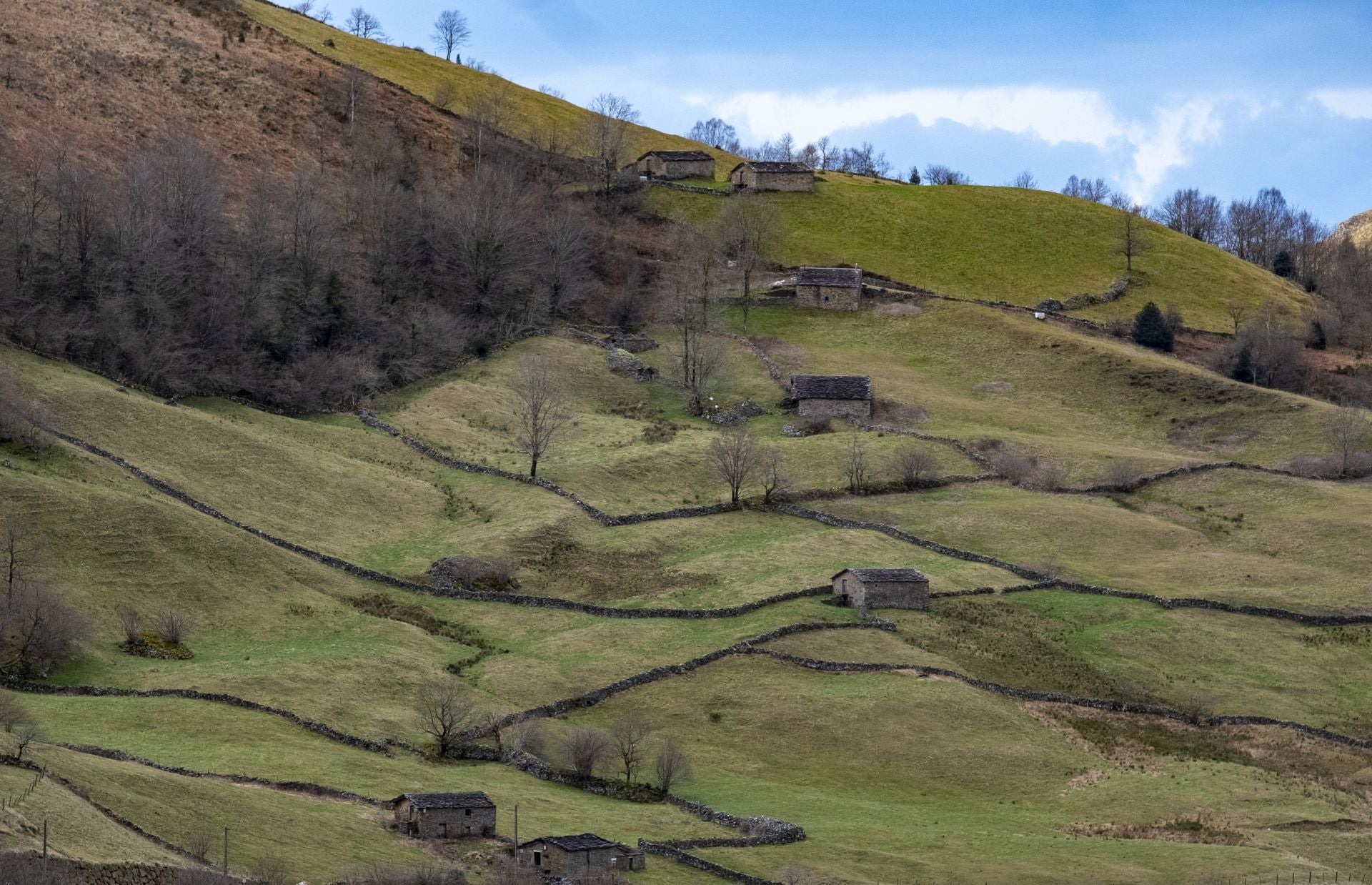 Los escenarios más característicos de esta zona de Cantabria, salpicados de cabañas.