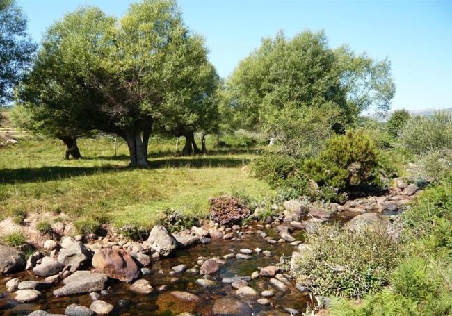 La ruta por el Valle de Camesa se prolonga durante algo más de tres horas,