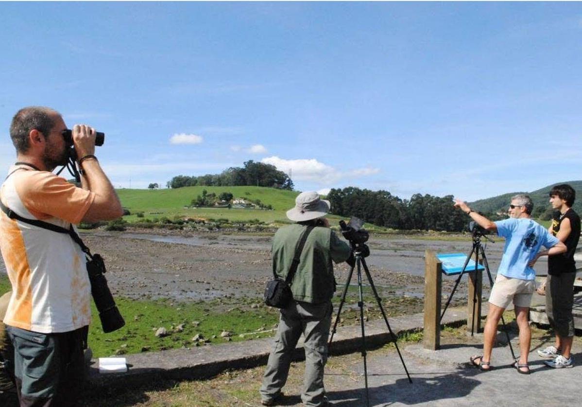 Participantes en el Festival de Migración de las Aves en las marismas de Santoña.