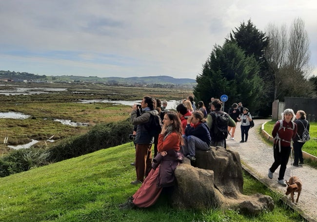 Un momento de la salida, donde se observaron distintas especies de aves en el humedal.