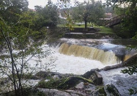 Apertura de escalas en el río Pas a la altura de Puente Viesgo.