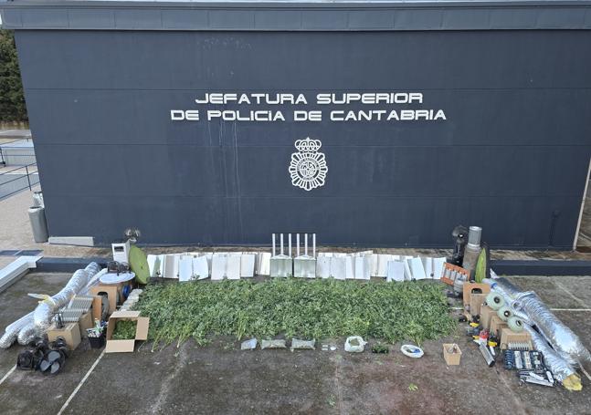 Plantas y utensilios intervenidos por la Policía Nacional.