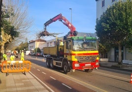 Operarios trabajan en la retirada de unas ramas de los plátanos, este jueves, en el Paseo de Julio Hauzeur, minutos después del accidente.