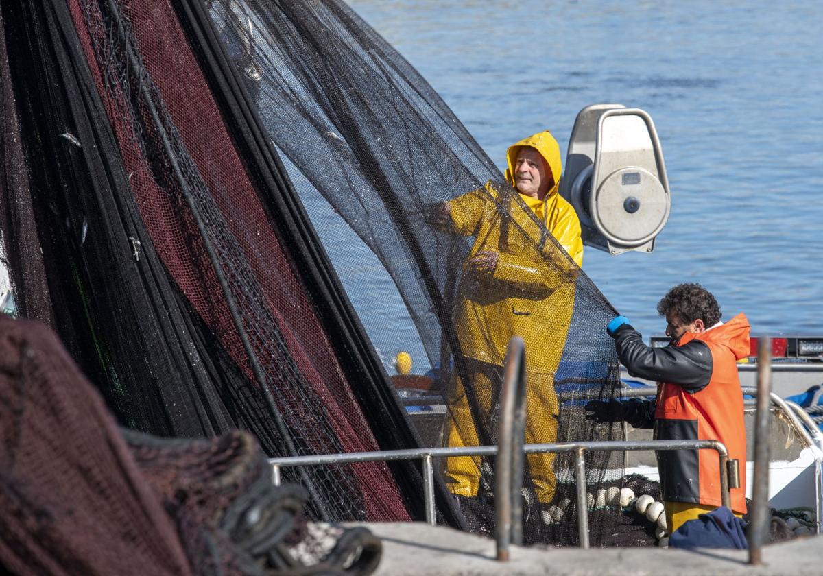 La gente de la mar vuelve al trabajo después de casi tres meses en tierra para ir a por bocarte.