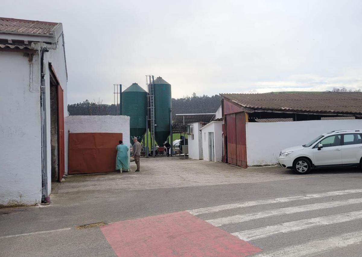 Imagen secundaria 1 - La estabulación ganadera, desde otro ángulo, cuando los efectivos de emergencias ya se habían marchado.