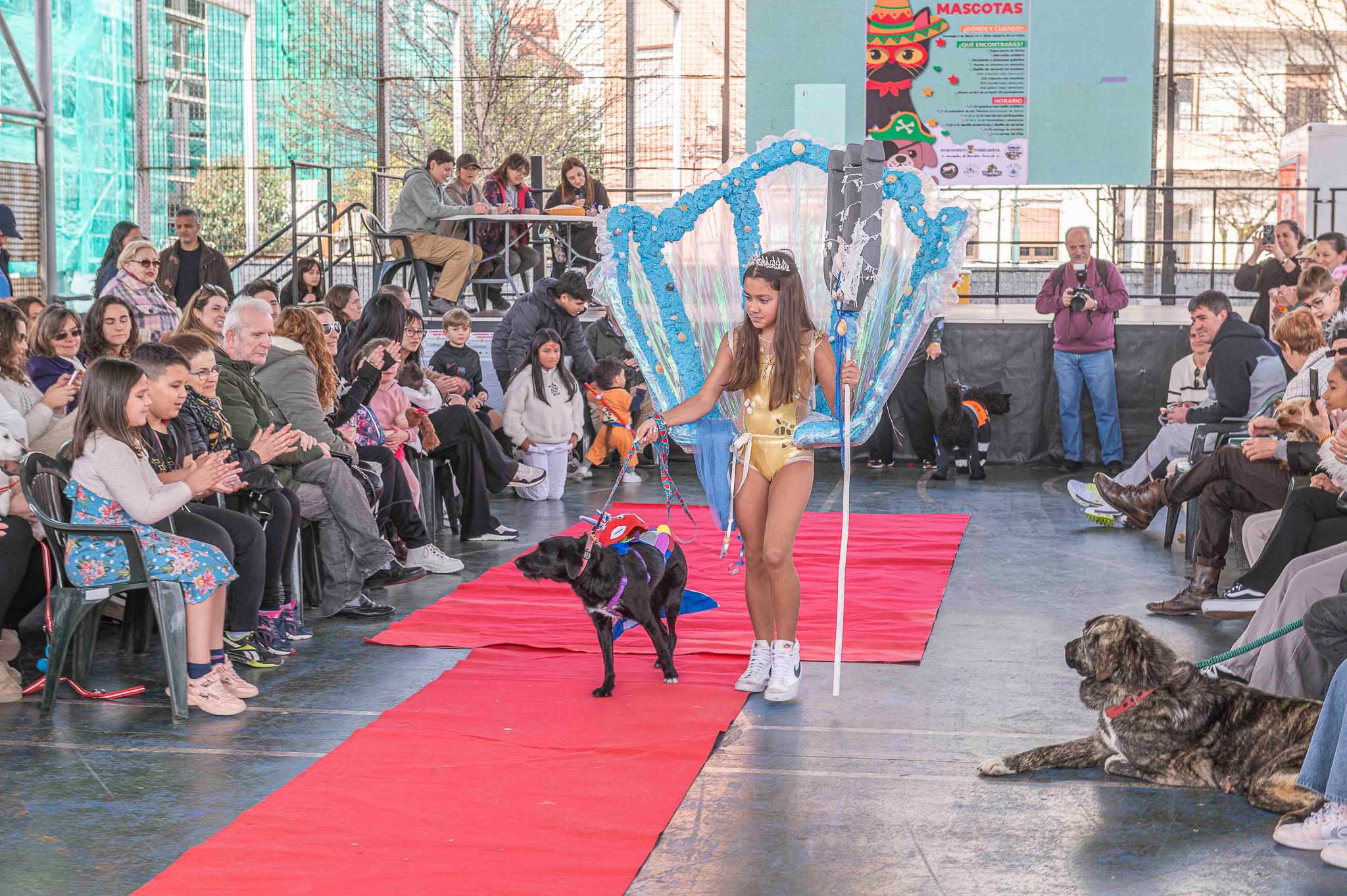 Los perros fueron los más aplaudidos en la pasarela roja del desfile de carnaval.