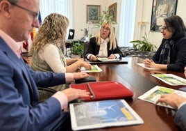 La delegada de Gobierno Eugenia Gómez de Diego, en el centro, en la reunión con los responsables de Enagás.