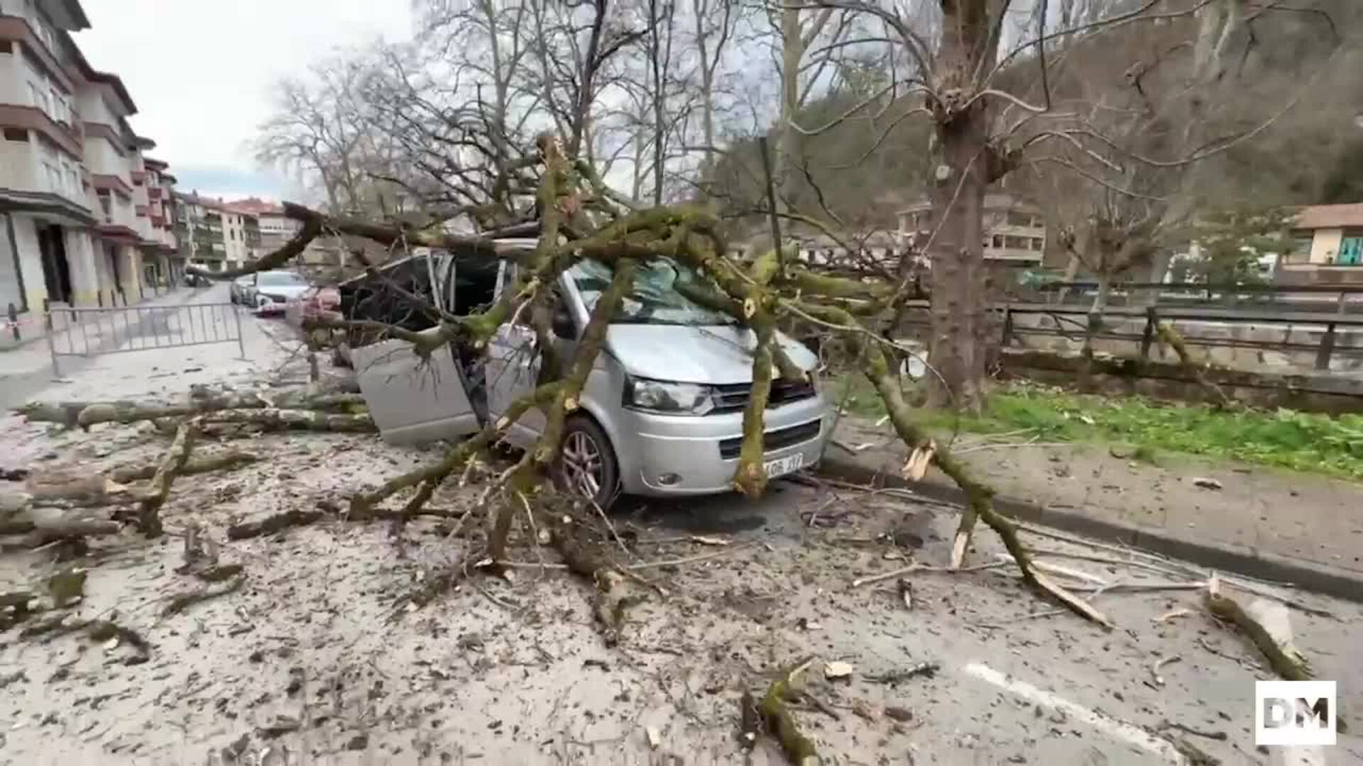 Un árbol destroza una furgoneta en Cabezón