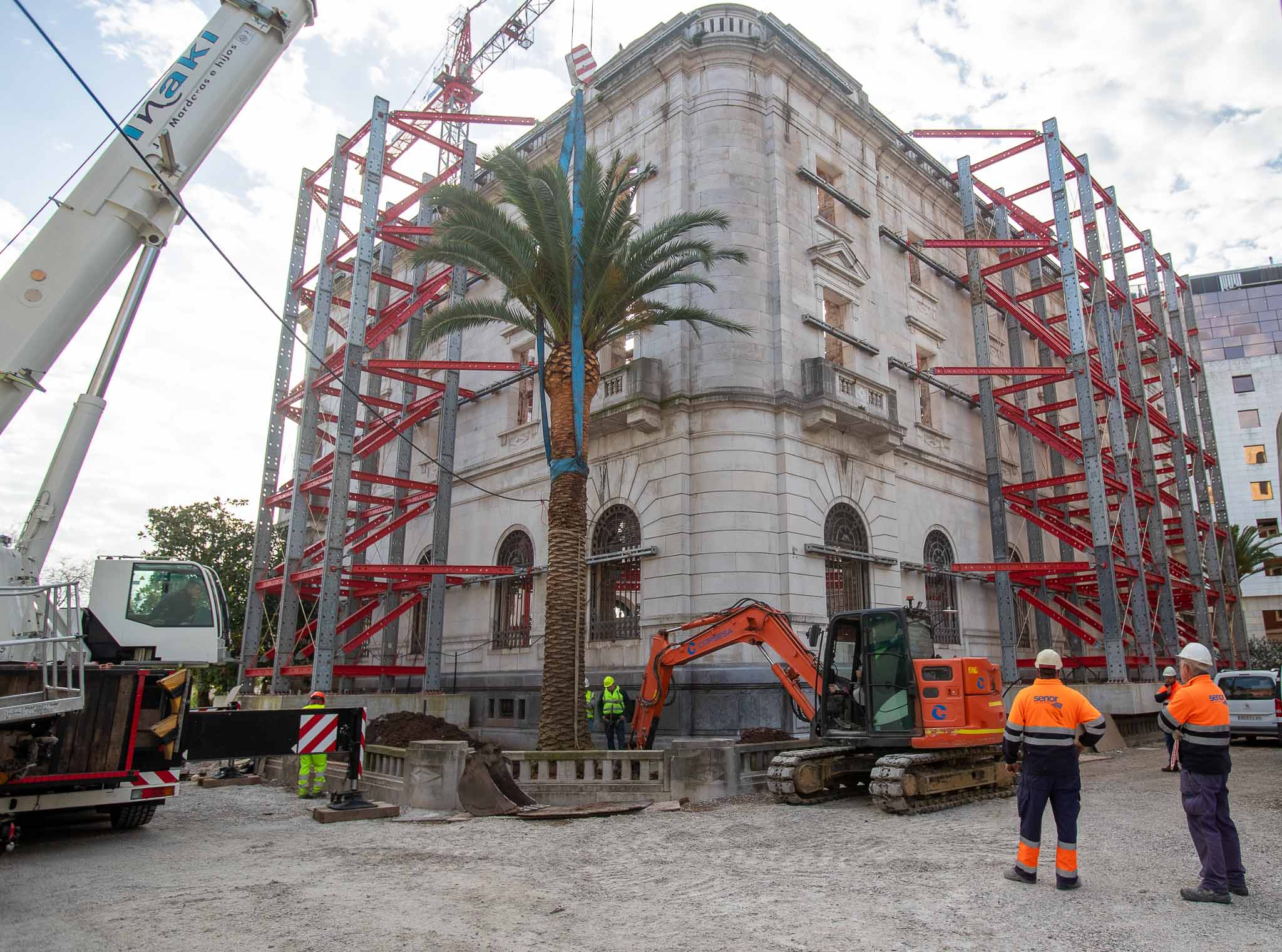 Las palmeras instaladas junto al edificio del Banco de España se llevarán a los Jardines de Piquío