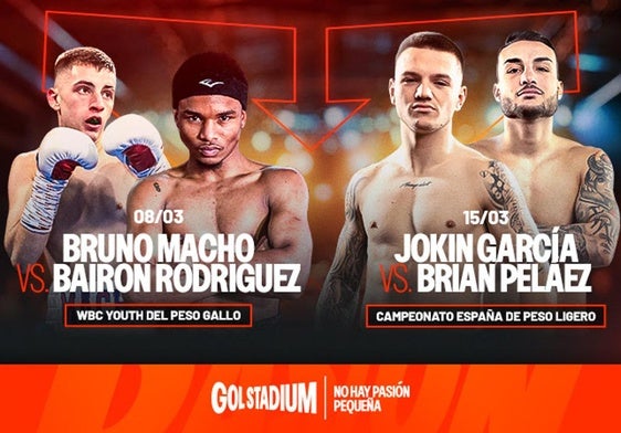 GolStadium se consolida como la plataforma de referencia para el boxeo nacional