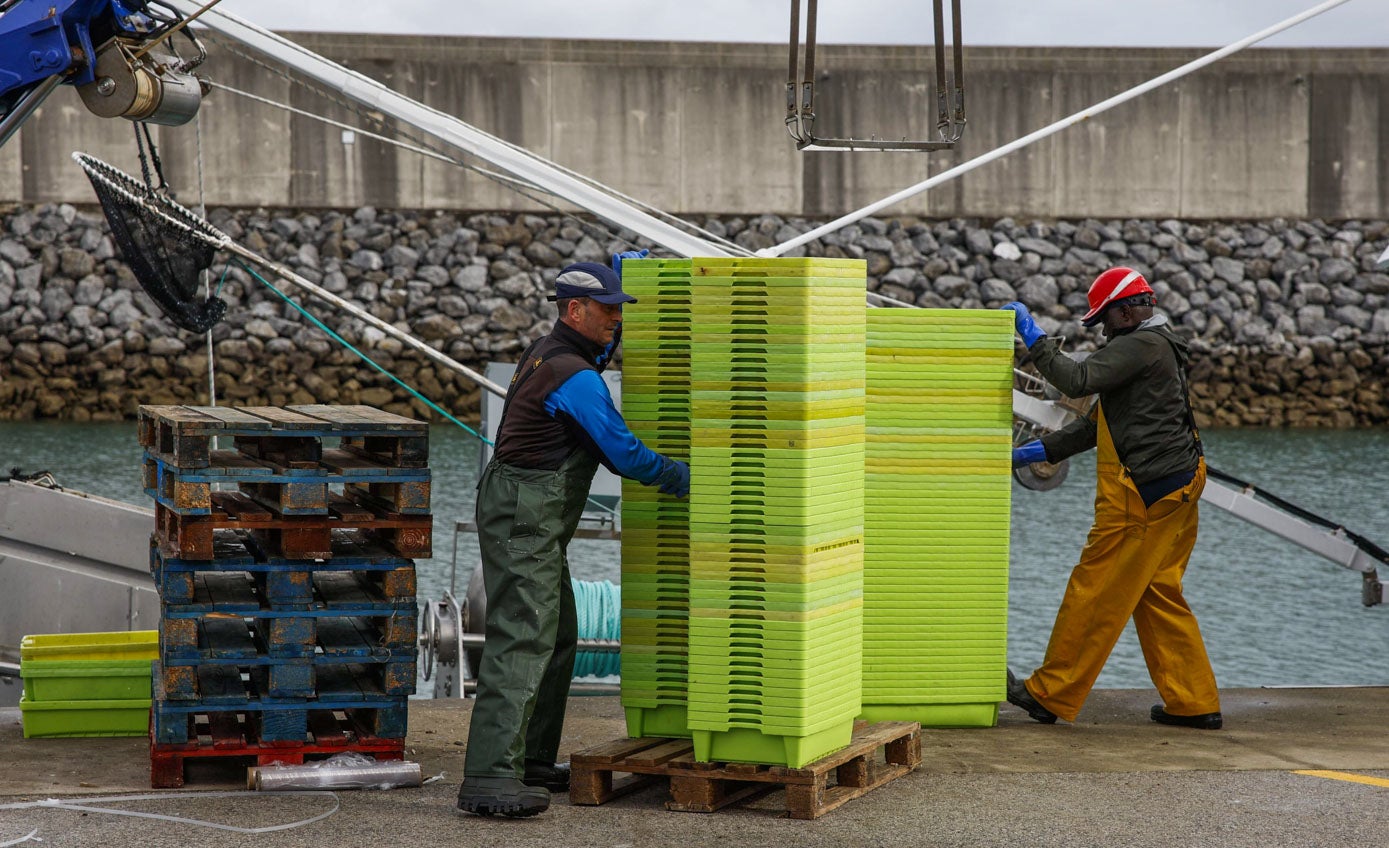 Marineros cargan las cajas de pescado en Laredo.