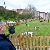 Varios perros disfrutan, en compañía de sus dueños, de la nueva zona canina de Santander.