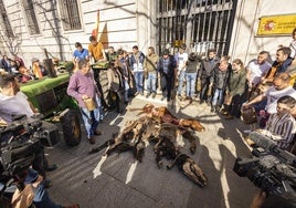 Animales devorados por el lobo, frente a la sede de Delegación de Gobierno en Santander.