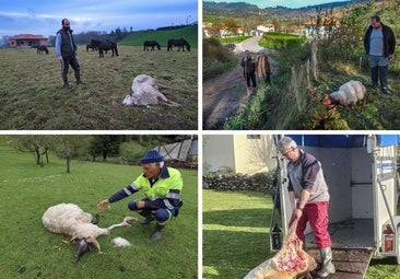 El otro cuento del lobo feroz