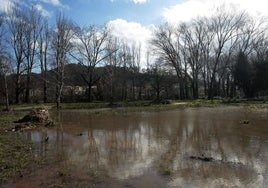 Imagen del campo de El Patatal inundado, en Torrelavega.