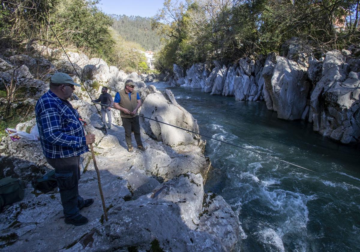 Un pescador en el coto de Puente Viesgo, en el río Pas, el día de la apertura de la veda.
