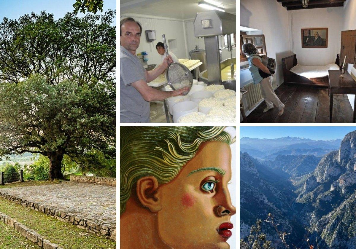 Vámonos de miradores, de bodegas y queserías, de árboles singulares y hasta de cementerios