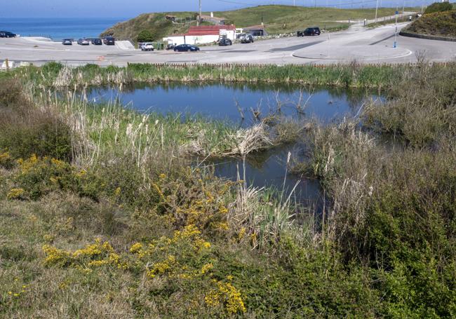 La laguna natural se ampliará y se sembrará flora autóctona en su entorno.