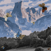 Ejemplares de mariposa que se pueden encontrar en Picos de Europa.