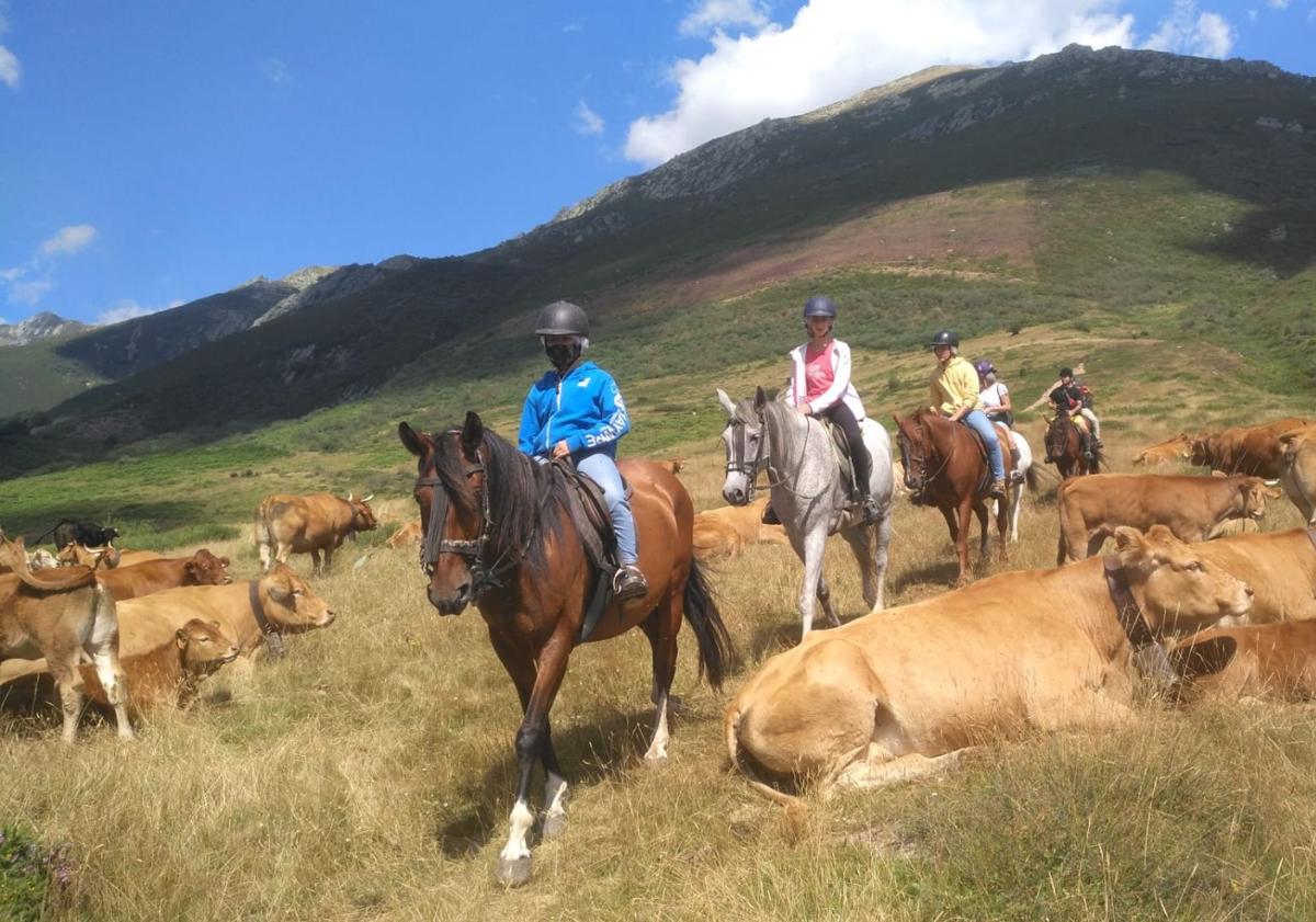 Imagen principal - Un paseo a caballo por Campoo siempre es una buena opción.