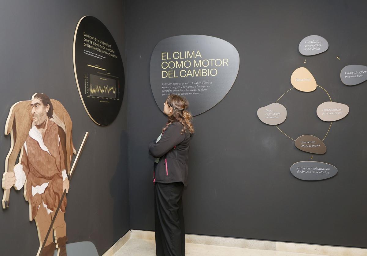 Imagen de Galeria 