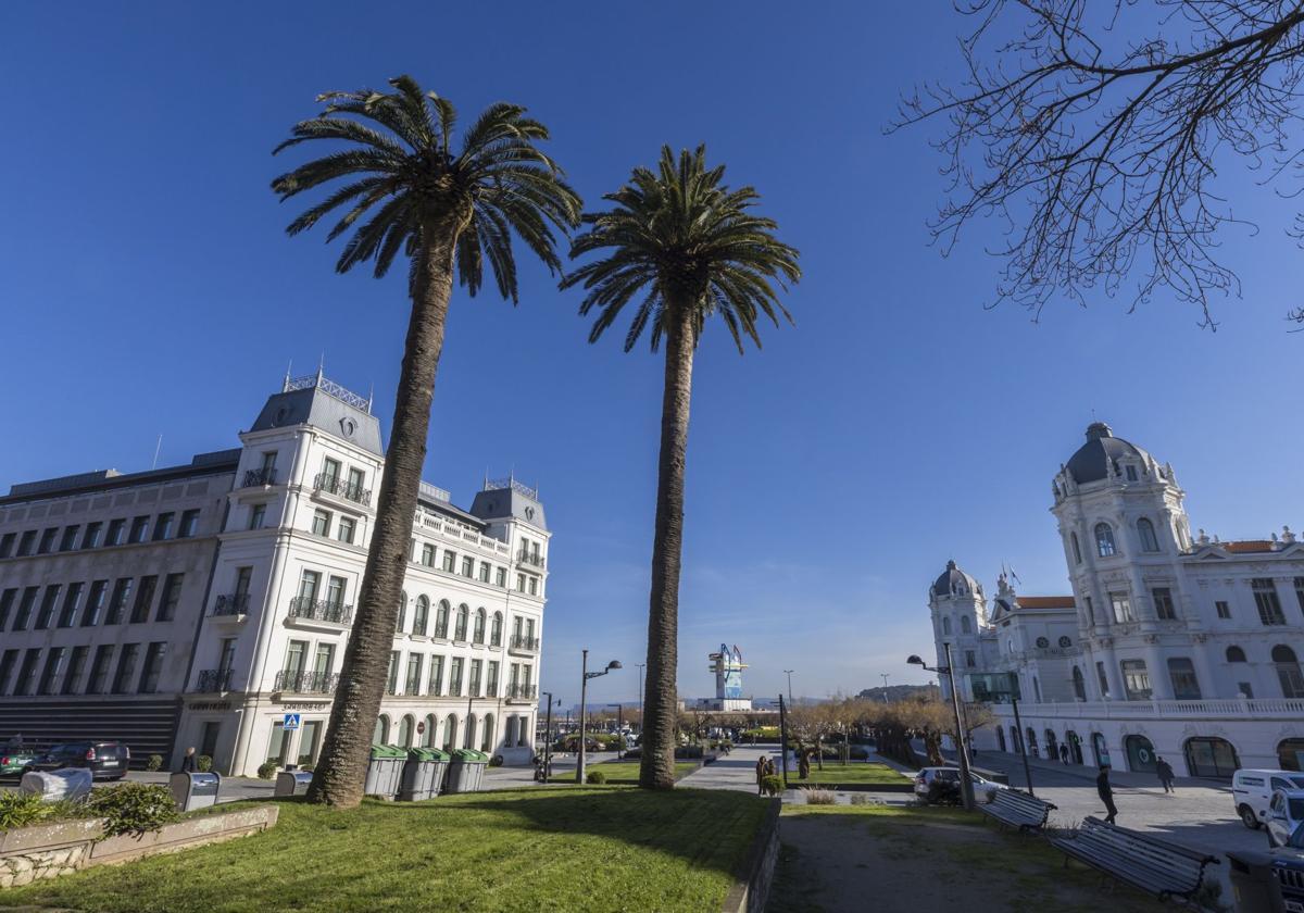 La palmera indiana, en la lista roja del Patrimonio