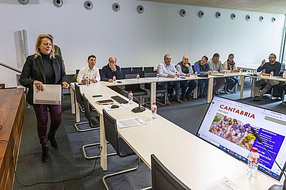 La consejera de Ganadería, María Jesús Susinos, presidió la última reunión de la Mesa del Lobo, el pasado mes de marzo.