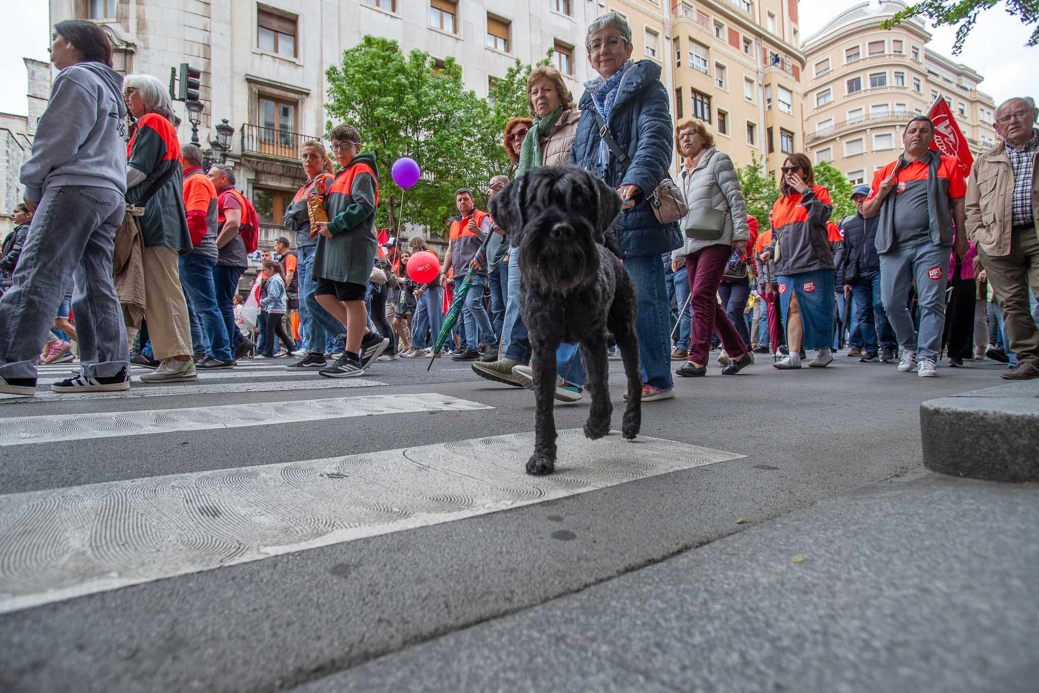 La convocatoria, que ha comenzado a las 12.00 horas, ha transcurrido con un ambiente tranquilo.