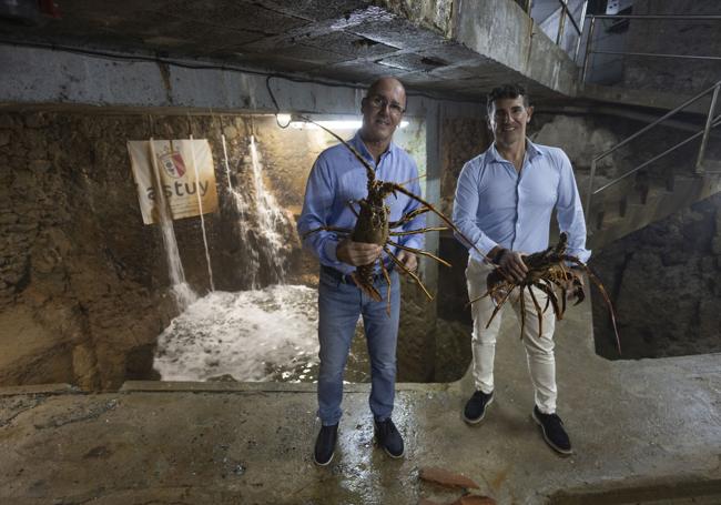 Armando Alonso y Emérito Astuy, en el vivero de langostas del complejo Astuy, en Isla.