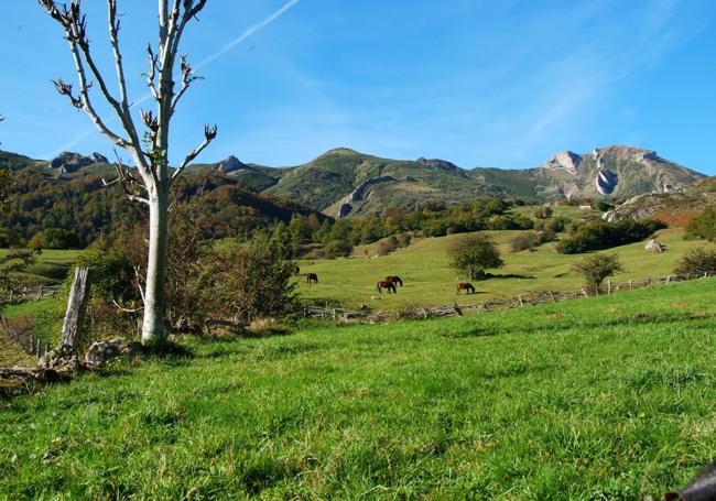 Esta ruta parte de Caloca, el pueblo más alto de la comarca de Liébana.