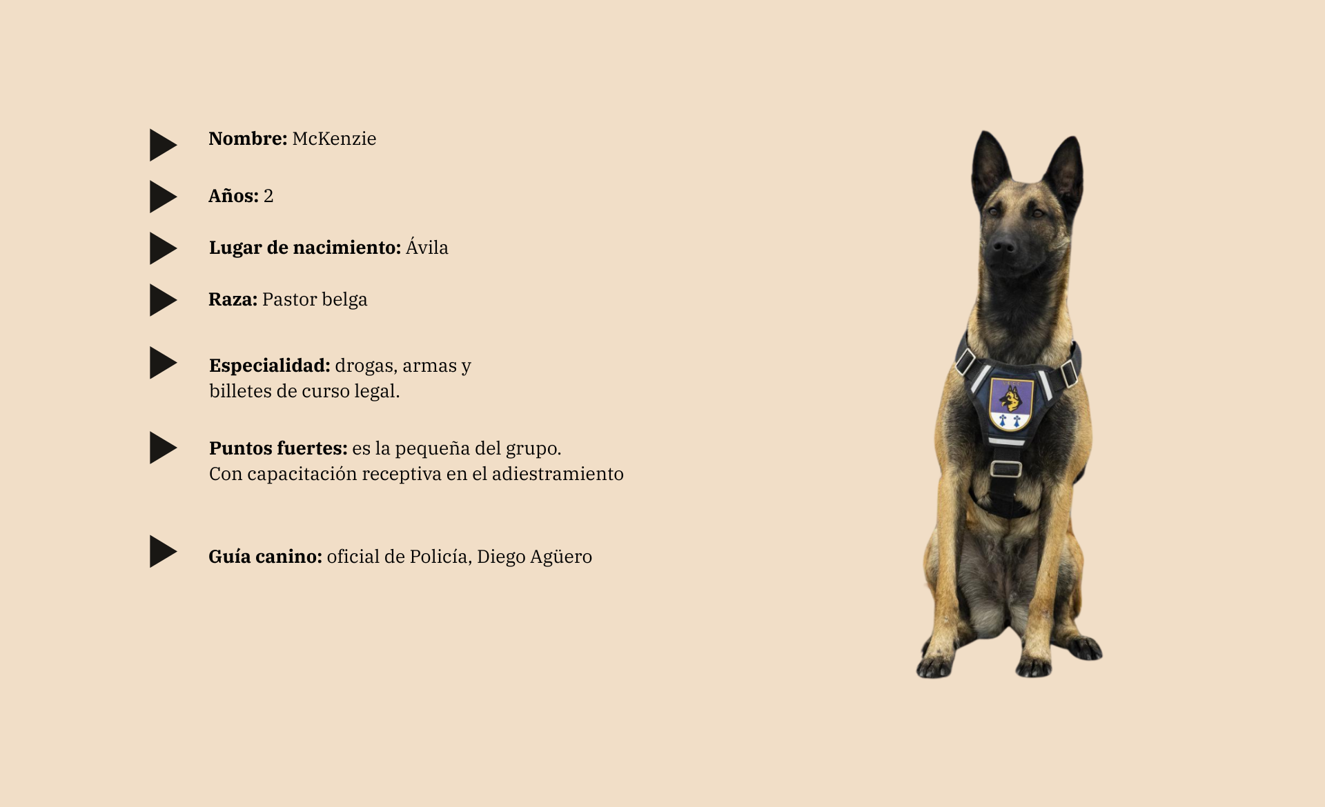 Scroll Story imagen 8
