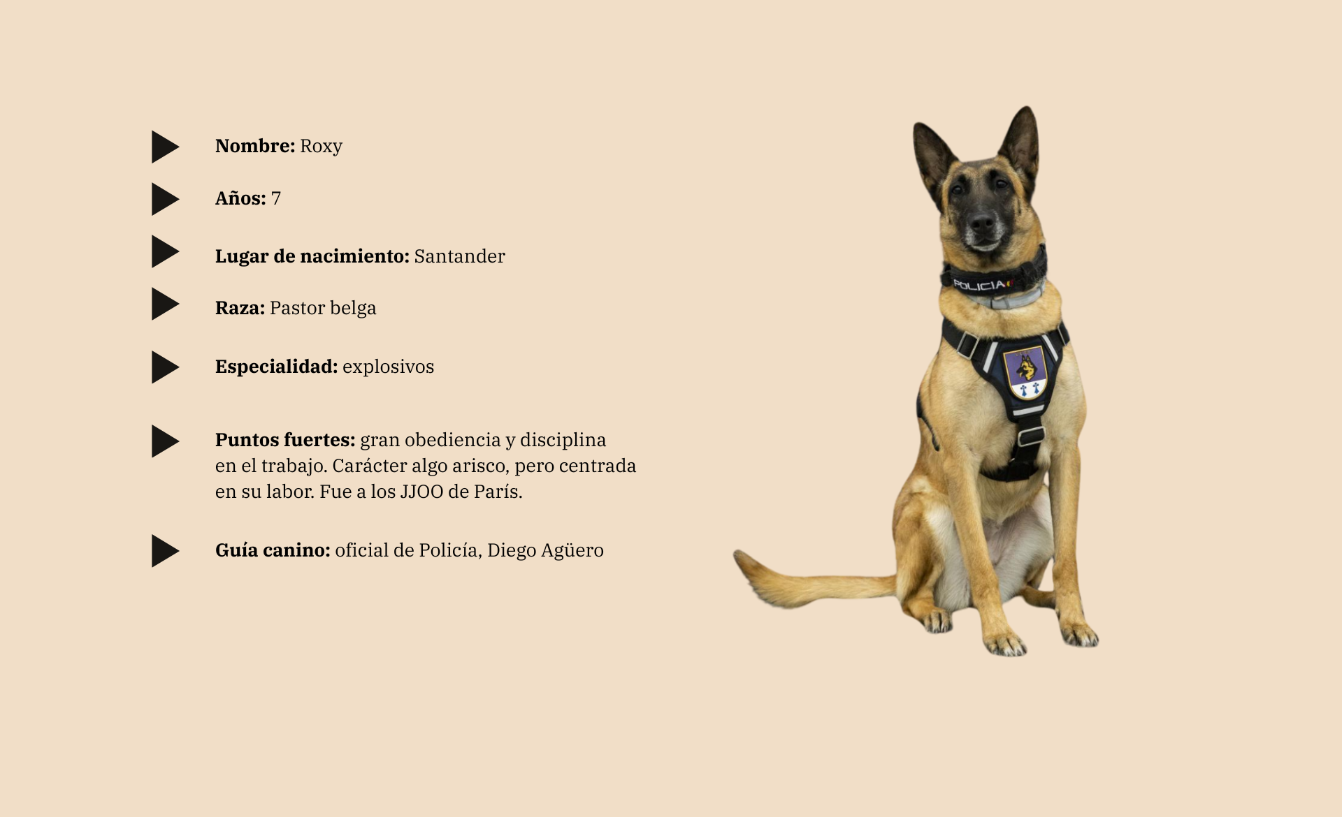 Scroll Story imagen 11