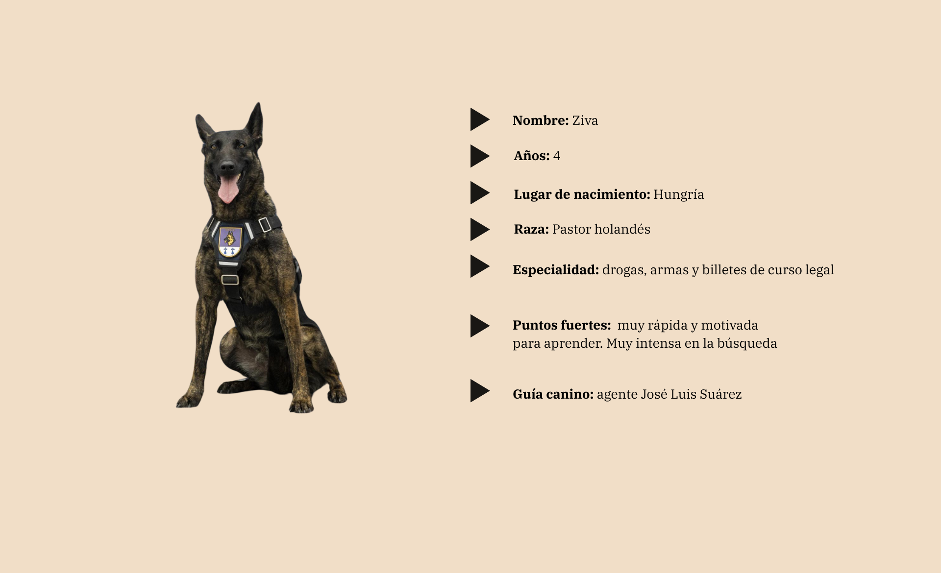 Scroll Story imagen 1